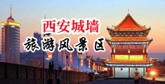 欧美奸肛视频性交中国陕西-西安城墙旅游风景区